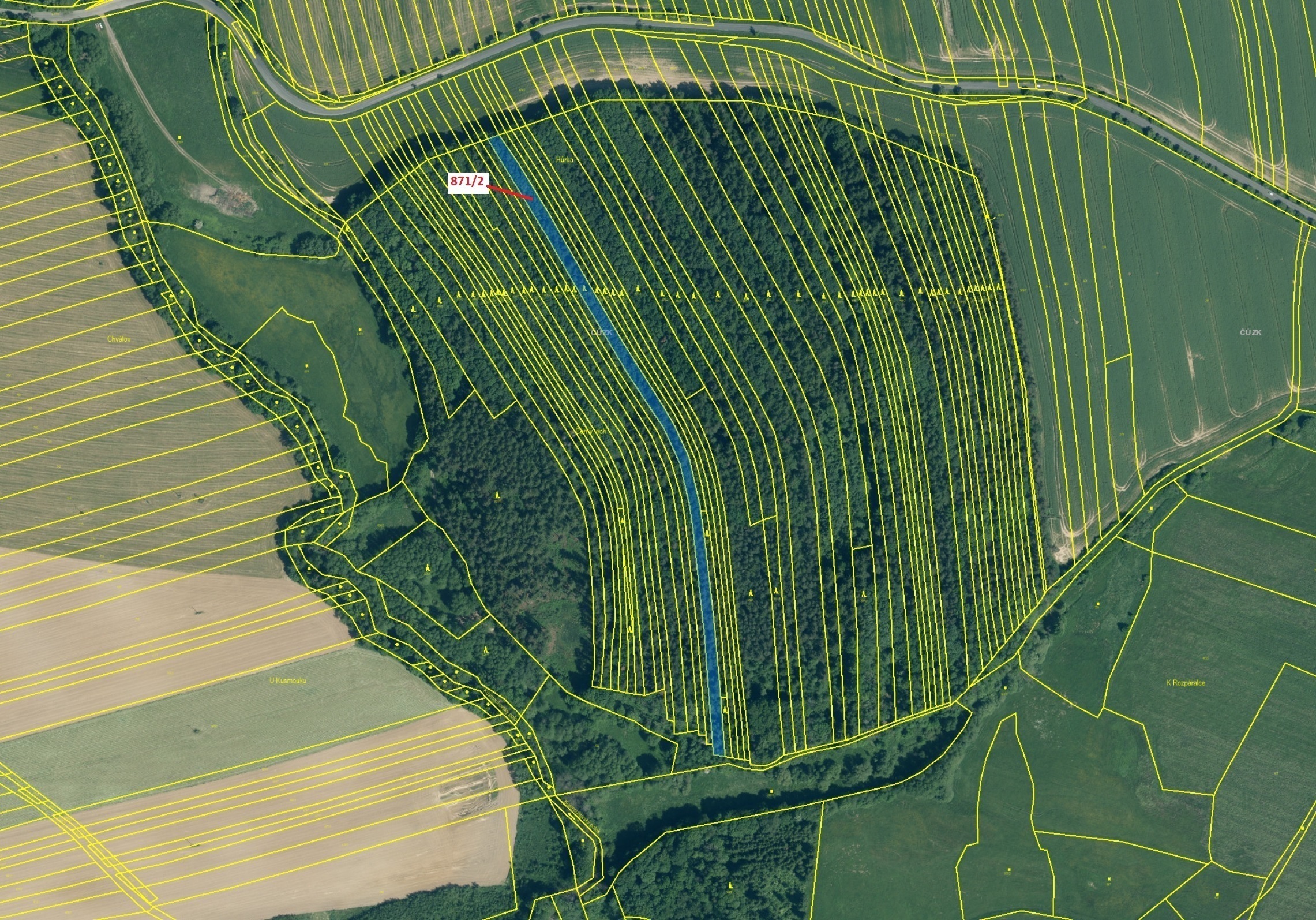 Lesní pozemek o výměře 4 727 m2, podíl 1/1, katastrální území Janovice nad Úhlavou, obec Janovice na
