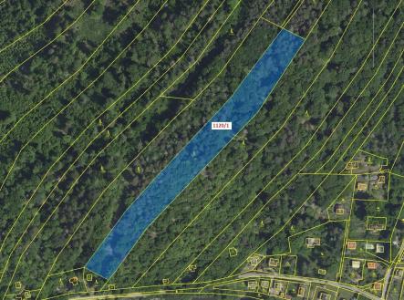 Prodej pozemku, les, 10 096 m²