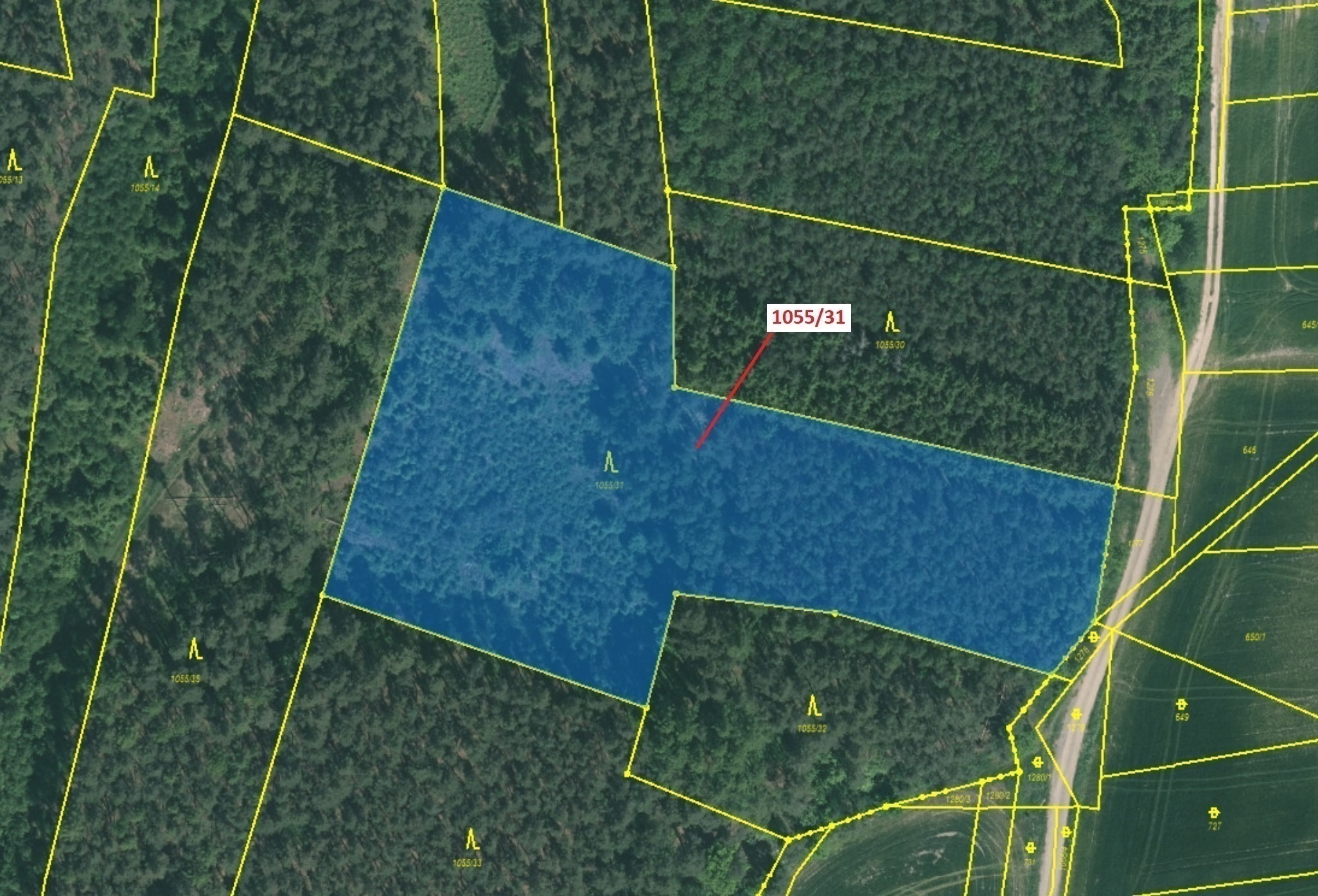 Lesní pozemek o výměře 9 168 m2, podíl 1/1, katastrální území Radonice u Milavčí, obec Milavče, obec