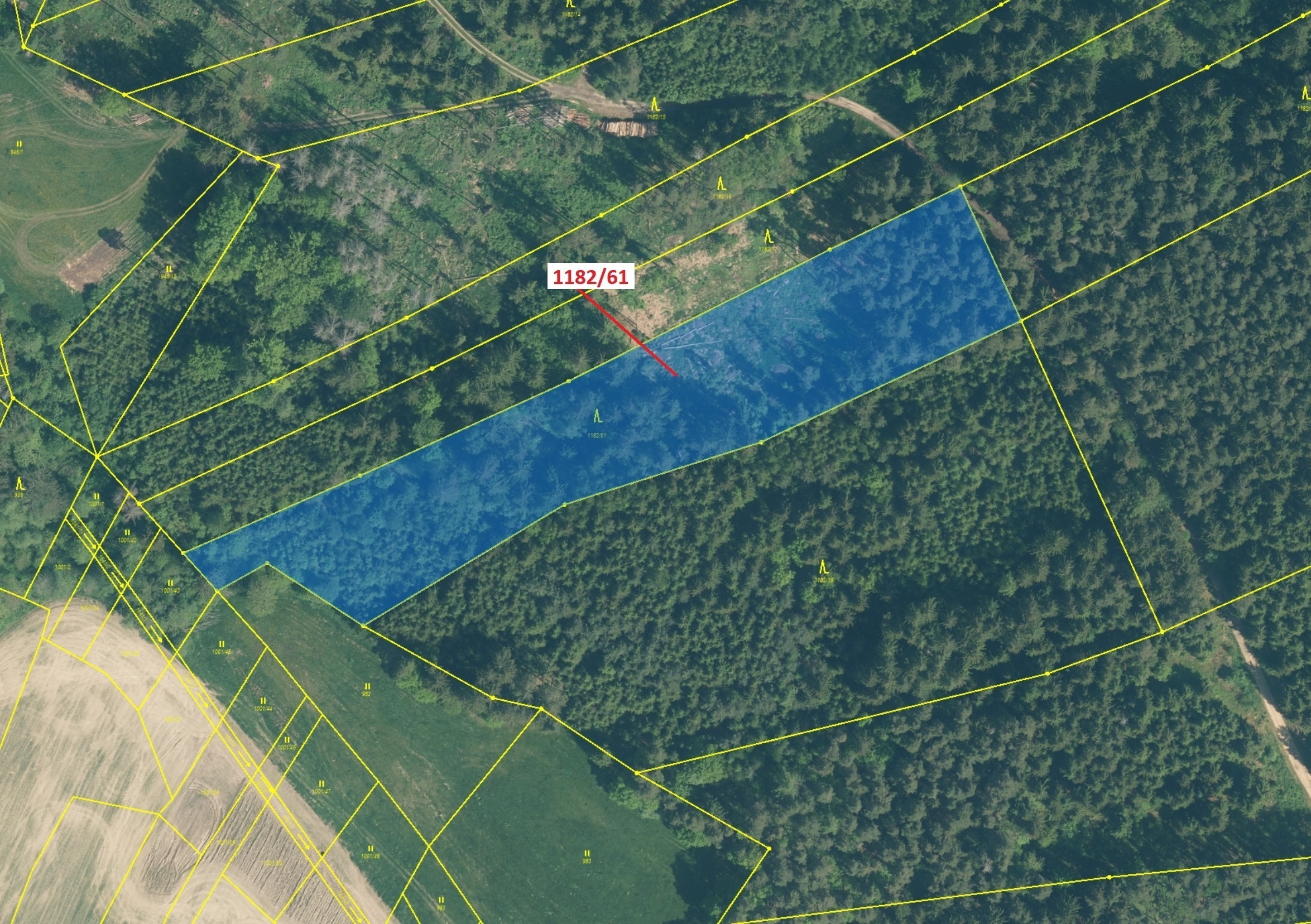 Lesní pozemek o výměře 11 119 m2, podíl 1/1, katastrální území Přeborov, obec Přeborov, obec s rozší