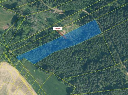 Prodej pozemku, les, 11 119 m²