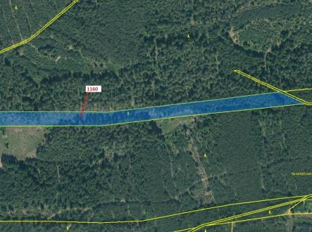 Prodej pozemku, les, 12 984 m²