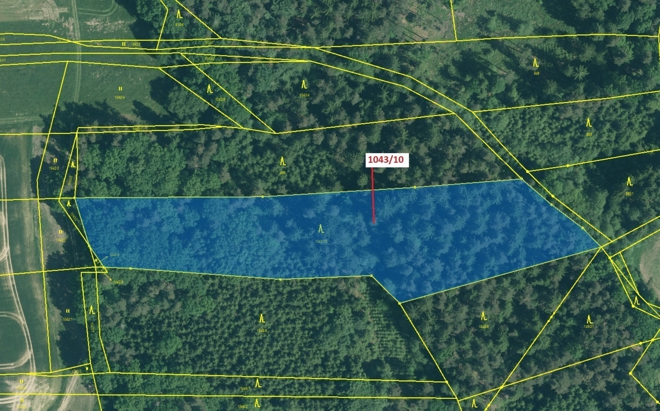 Lesní pozemek o výměře 11 078 m2, podíl 1/1, katastrální území Strážkovice, obec Strážkovice, obec s