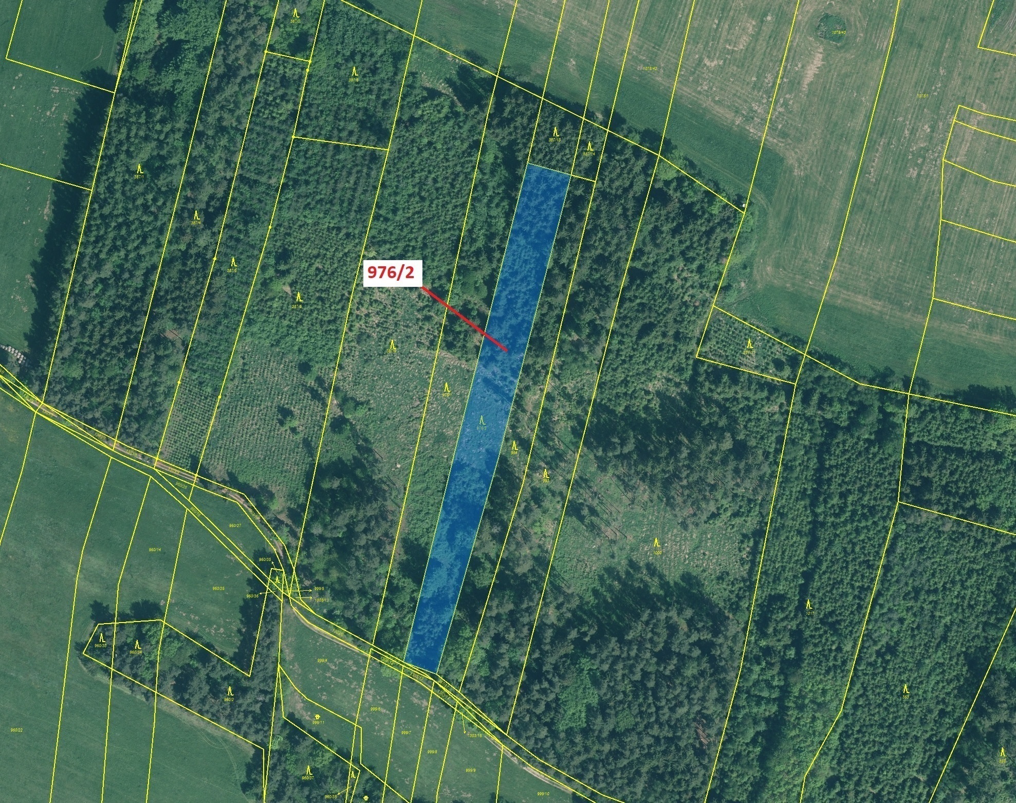 Lesní pozemek o výměře 5170 m2, podíl 1/1, katastrální území Třešně u Záhoří, obec Záhoří, obec s ro