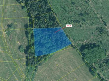 Prodej pozemku, les, 4 906 m²