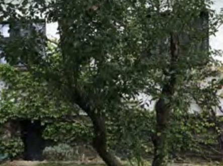 Prodej domu/vily, 70 m²