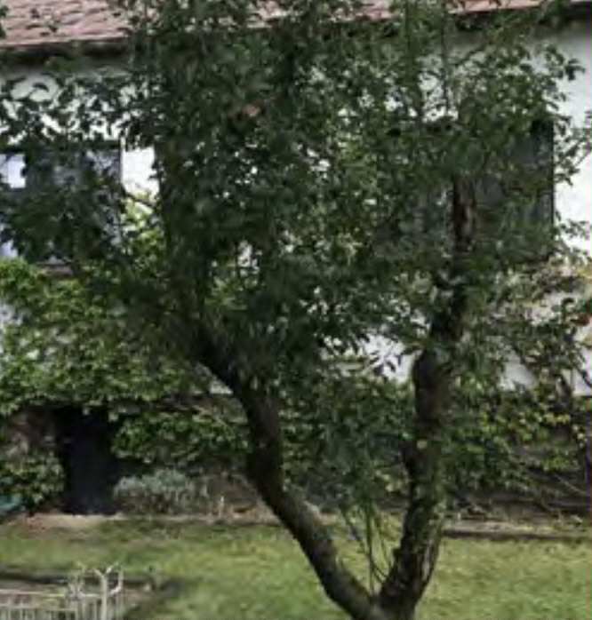 Rodinný dům, Slapy, Praha - západ