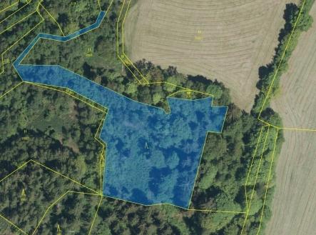 Prodej pozemku, les, 5 736 m²