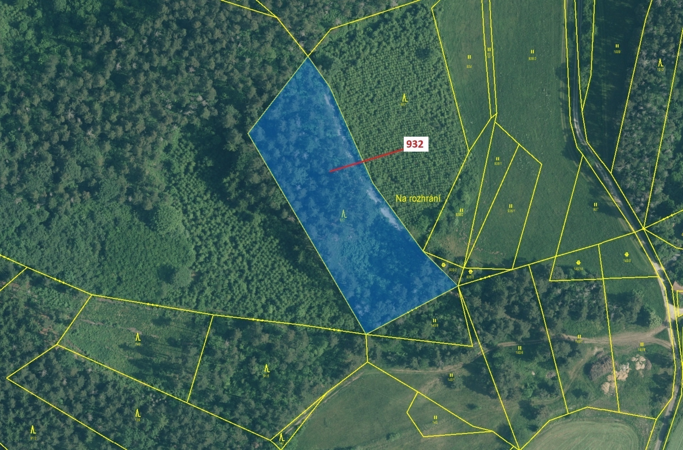 Lesní pozemek o výměře 7 006 m2, podíl 1/1, katastrální území Čepice, obec Rabí, obec s rozšířenou p