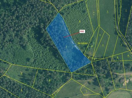 Prodej pozemku, les, 7 006 m²