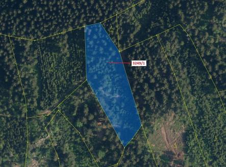 Prodej pozemku, les, 5 995 m²