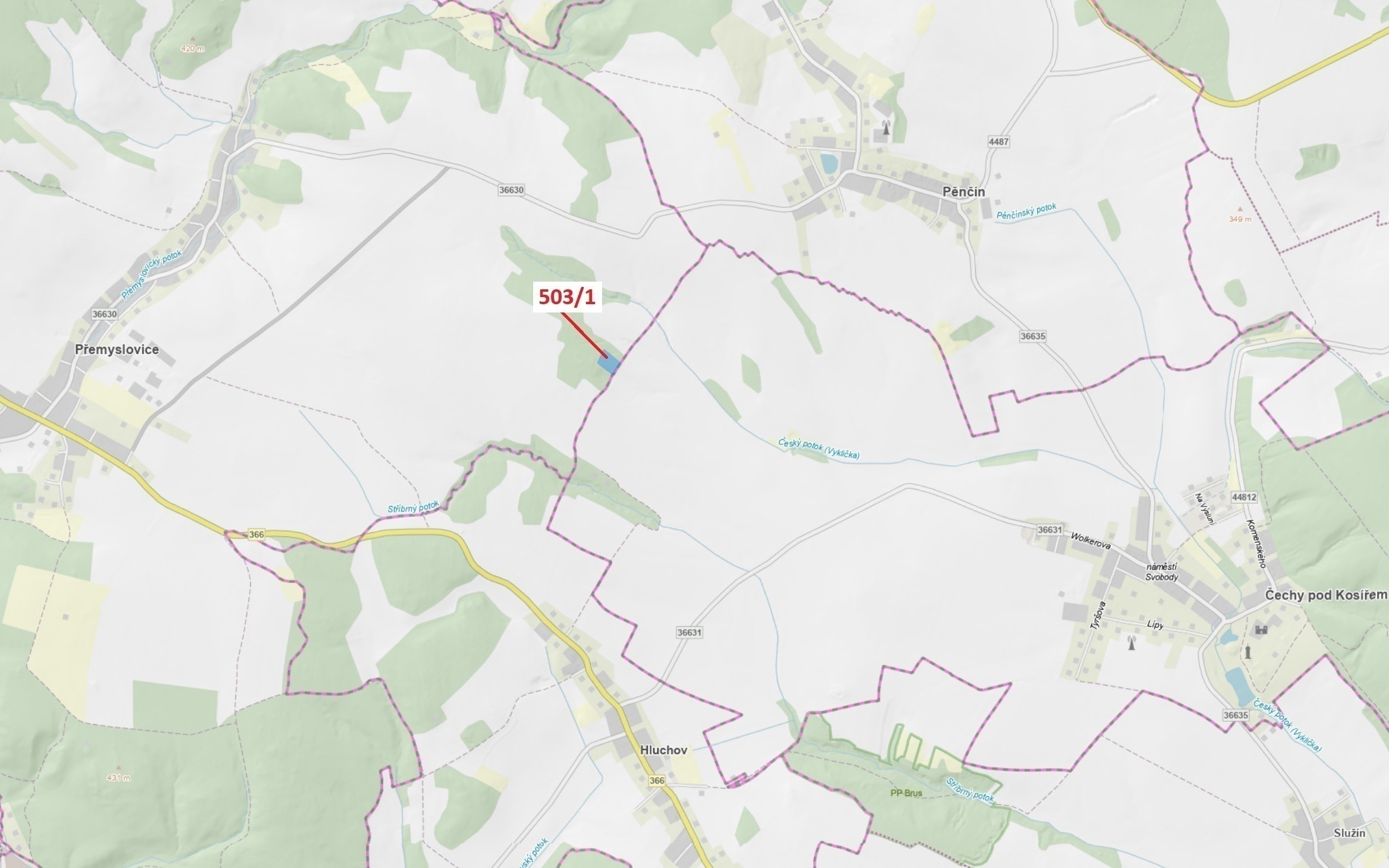 Lesní pozemek o výměře 7 049 m2, podíl 1/1, katastrální území Přemyslovice, obec Přemyslovice, obec 