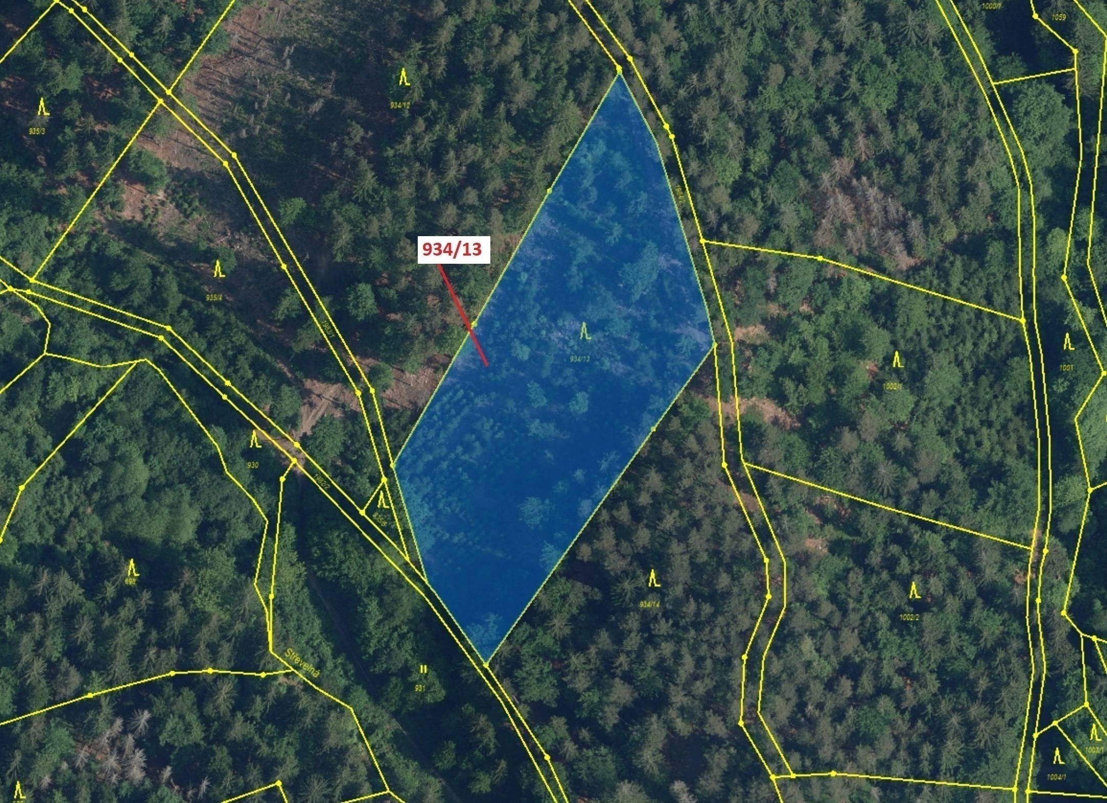 Lesní pozemek o výměře 6 213 m2, podíl 1/1, katastrální území Jílové u Držkova, obec Jílové u Držkov