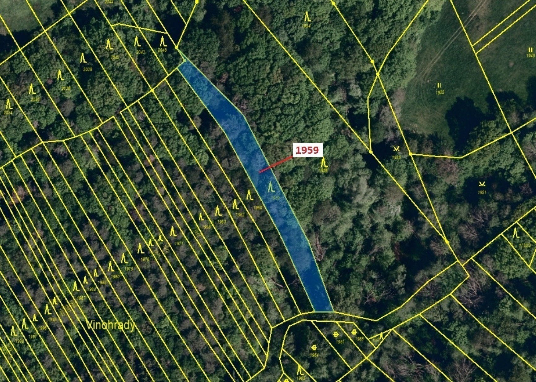 Lesní pozemek o výměře 1160 m2, podíl 1/1, katastrální území Kelníky, obec Kelníky, obec s rozšířeno