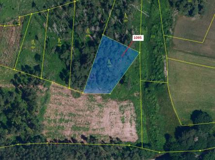 Prodej pozemku, les, 1 427 m²