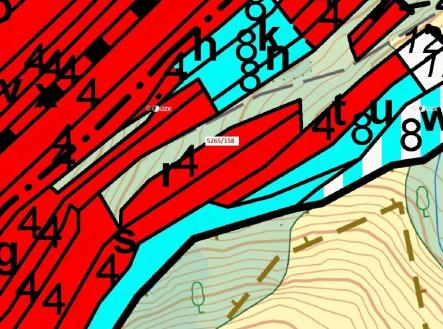 Prodej pozemku, les, 1 065 m²