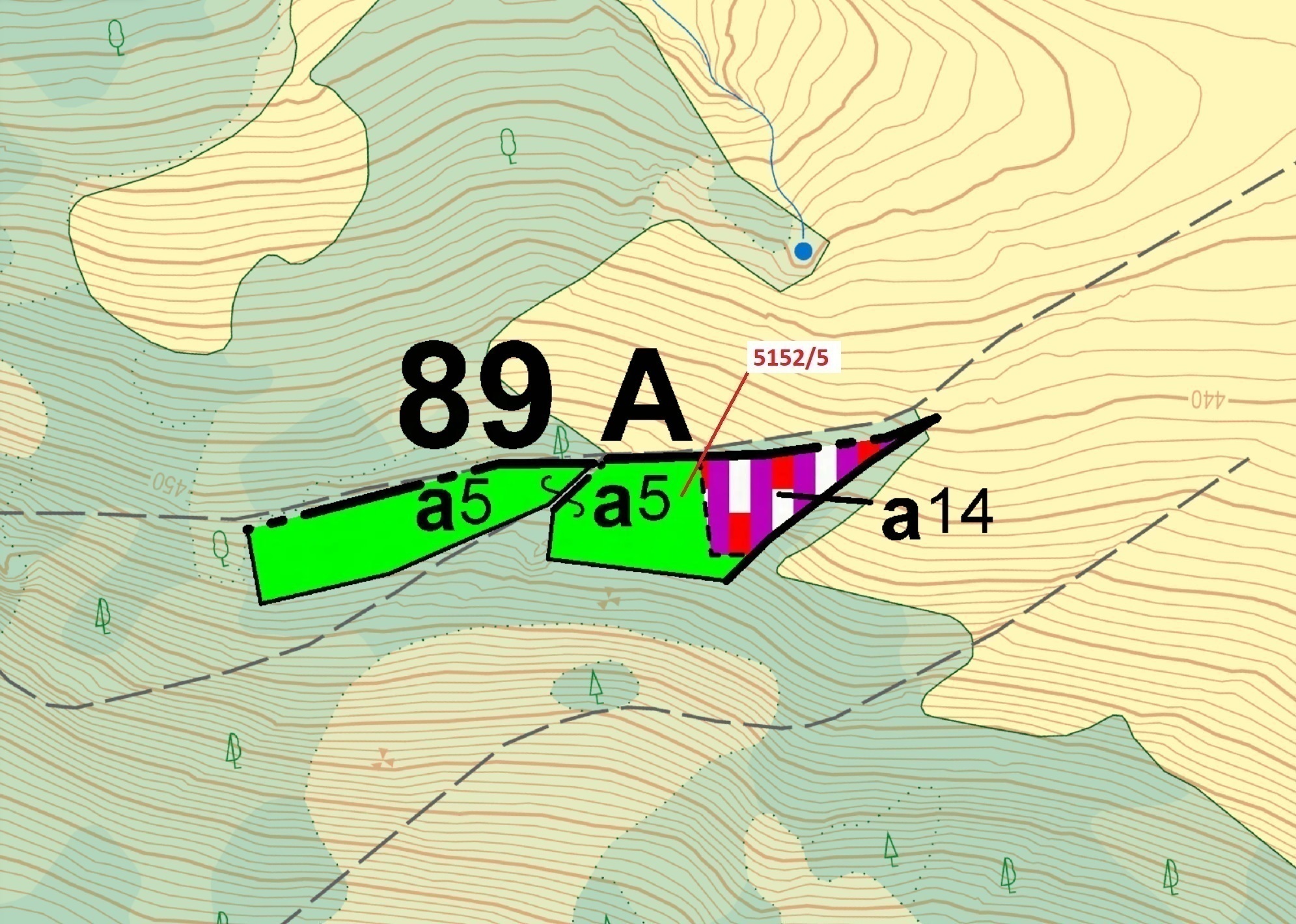 Lesní pozemek o výměře 4 741 m2, podíl 1/1, katastrální území Mikulášovice, obec Mikulášovice, obec 