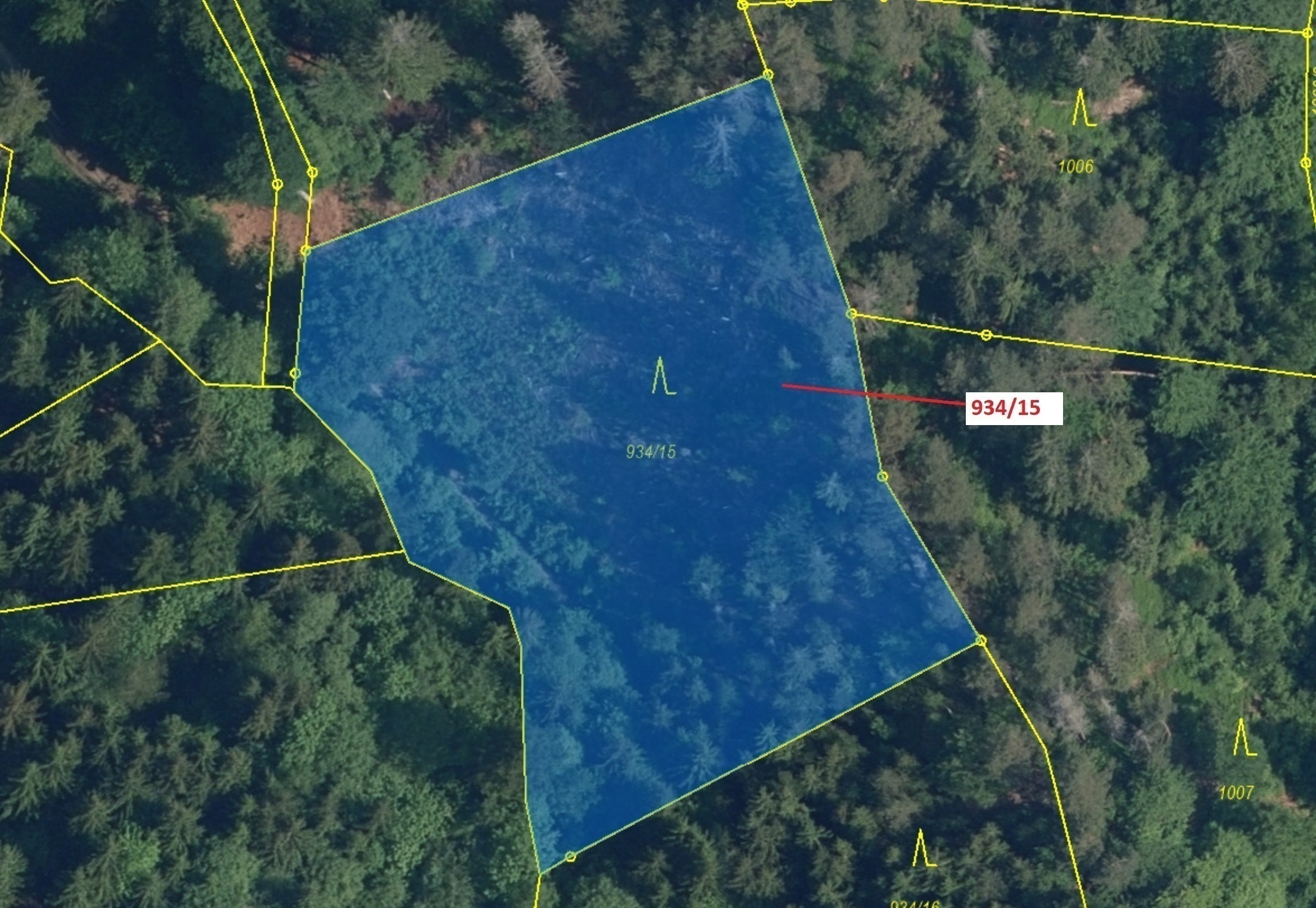 Lesní pozemek o výměře 3 821 m2, podíl 1/1, katastrální území Jílové u Držkova, obec Jílové u Držkov