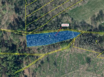 Prodej pozemku, les, 3 638 m²