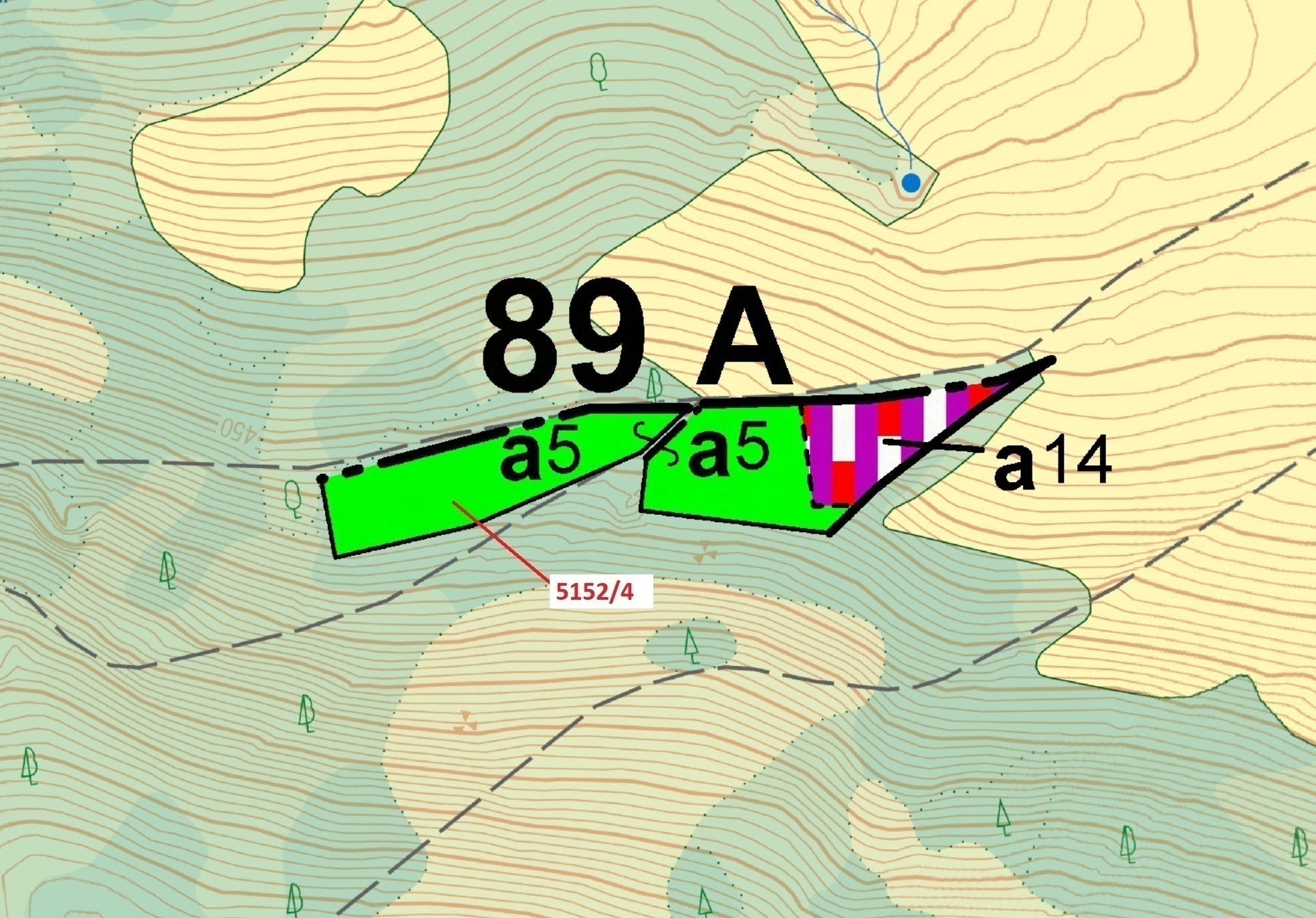 Lesní pozemek o výměře 3 638 m2, podíl 1/1, katastrální území Mikulášovice, obec Mikulášovice, obec 