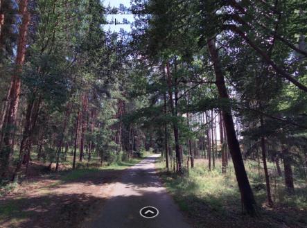 Prodej pozemku, les, 1 726 m²