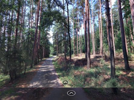 Prodej pozemku, les, 1 726 m²