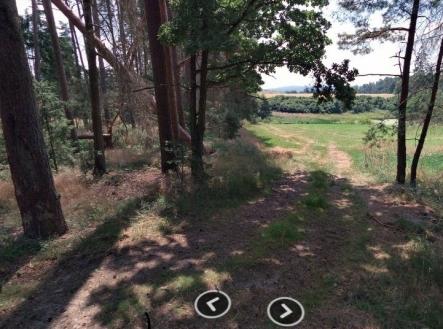 Prodej pozemku, les, 1 726 m²