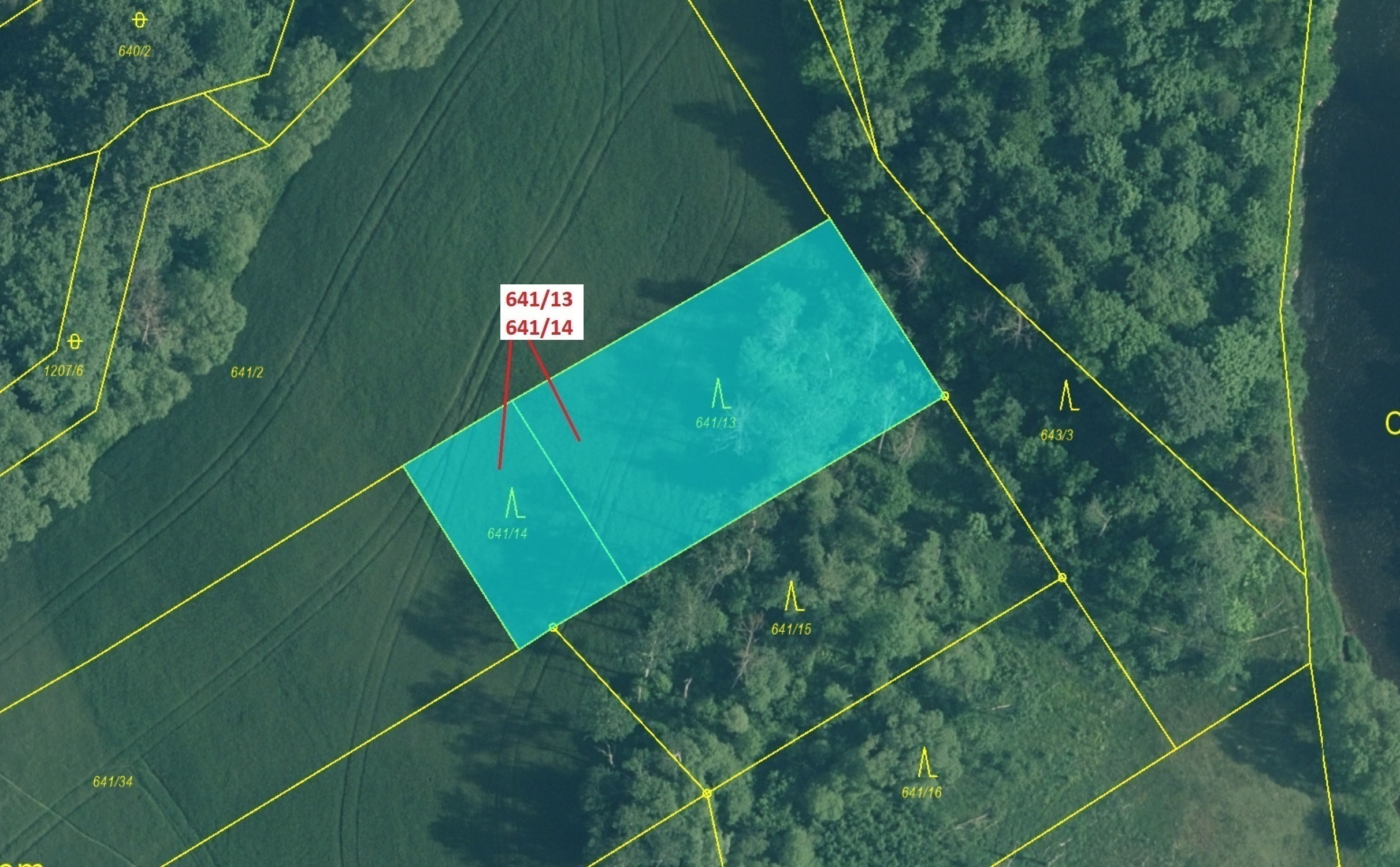 Lesní pozemky o výměře 1 958 m2, podíl 1/1, katastrální území Čepice, obec Rabí, obec s rozšířenou p