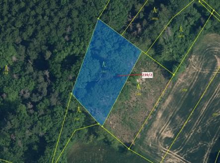 Prodej pozemku, les, 2 305 m²