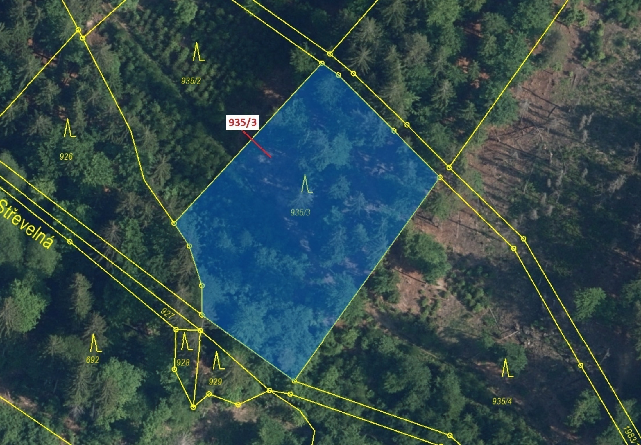 Lesní pozemek o výměře 2 349 m2, podíl 1/1, katastrální území Jílové u Držkova, obec Jílové u Držkov