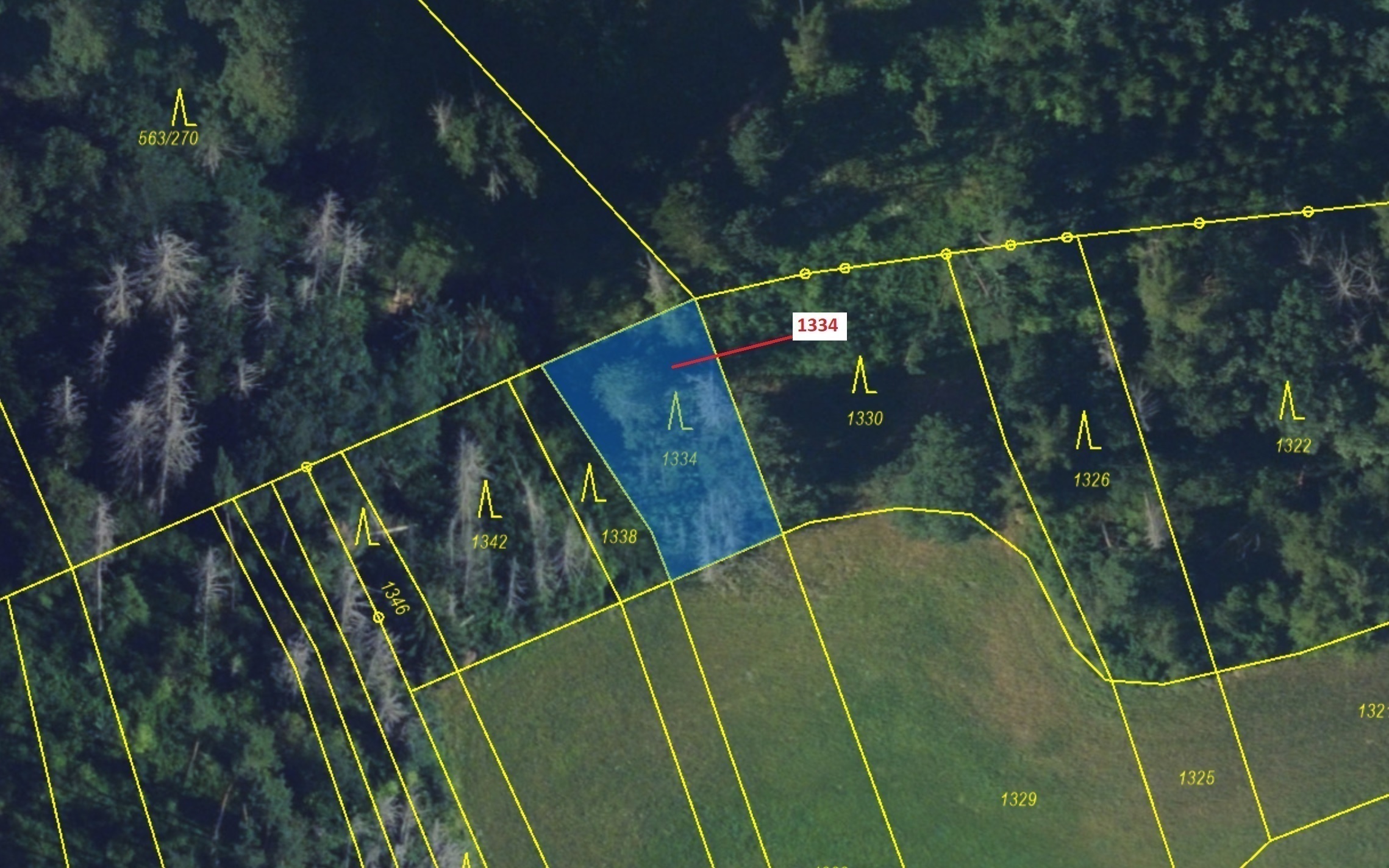 Lesní pozemek o výměře 420 m2, podíl 1/1, katastrální území Spešov, obec Spešov, obec s rozšířenou p