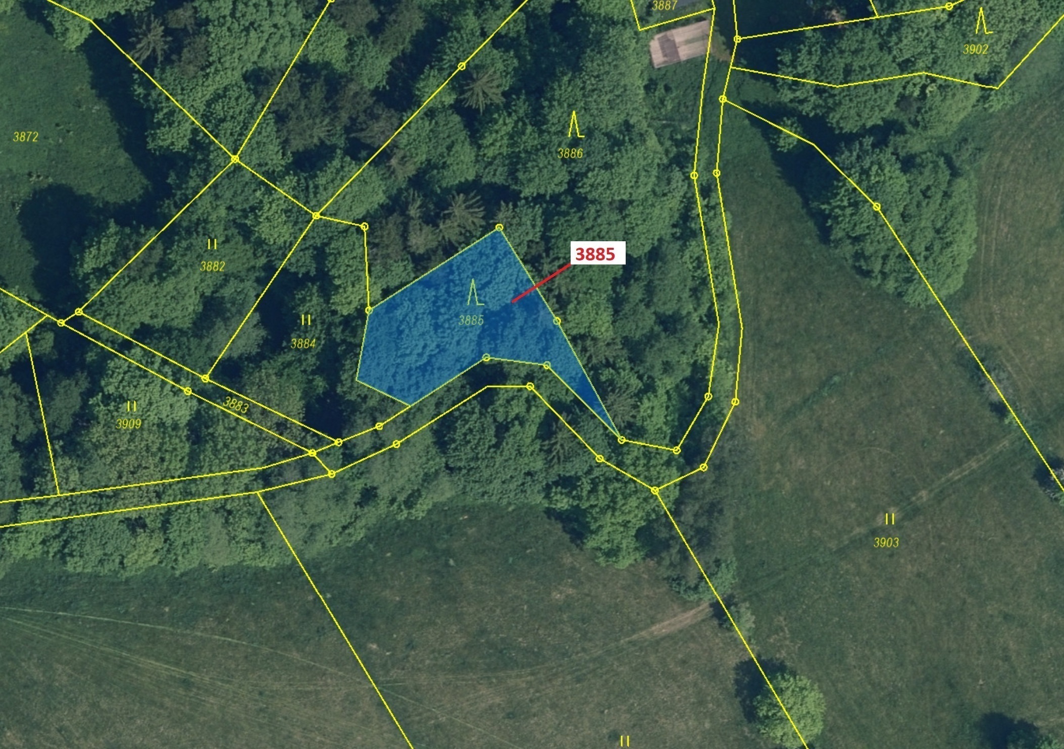 Lesní pozemek o výměře 561 m2, podíl 1/1, katastrální území Semily, obec Semily, obec s rozšířenou p