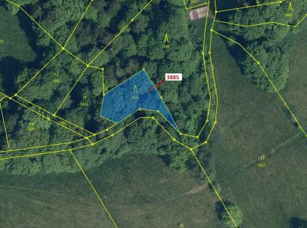 Prodej pozemku, les, 561 m²