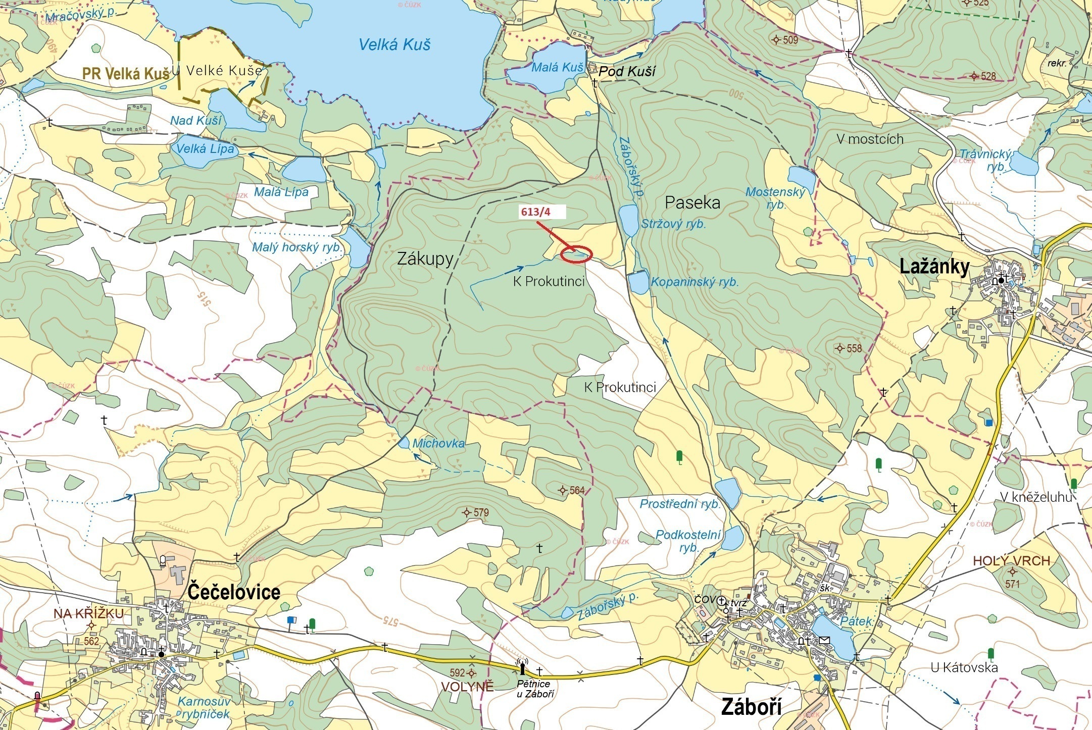Lesní pozemek o výměře 185 m2, podíl 1/1, katastrální území Záboří u Blatné, obec Záboří, obec s roz