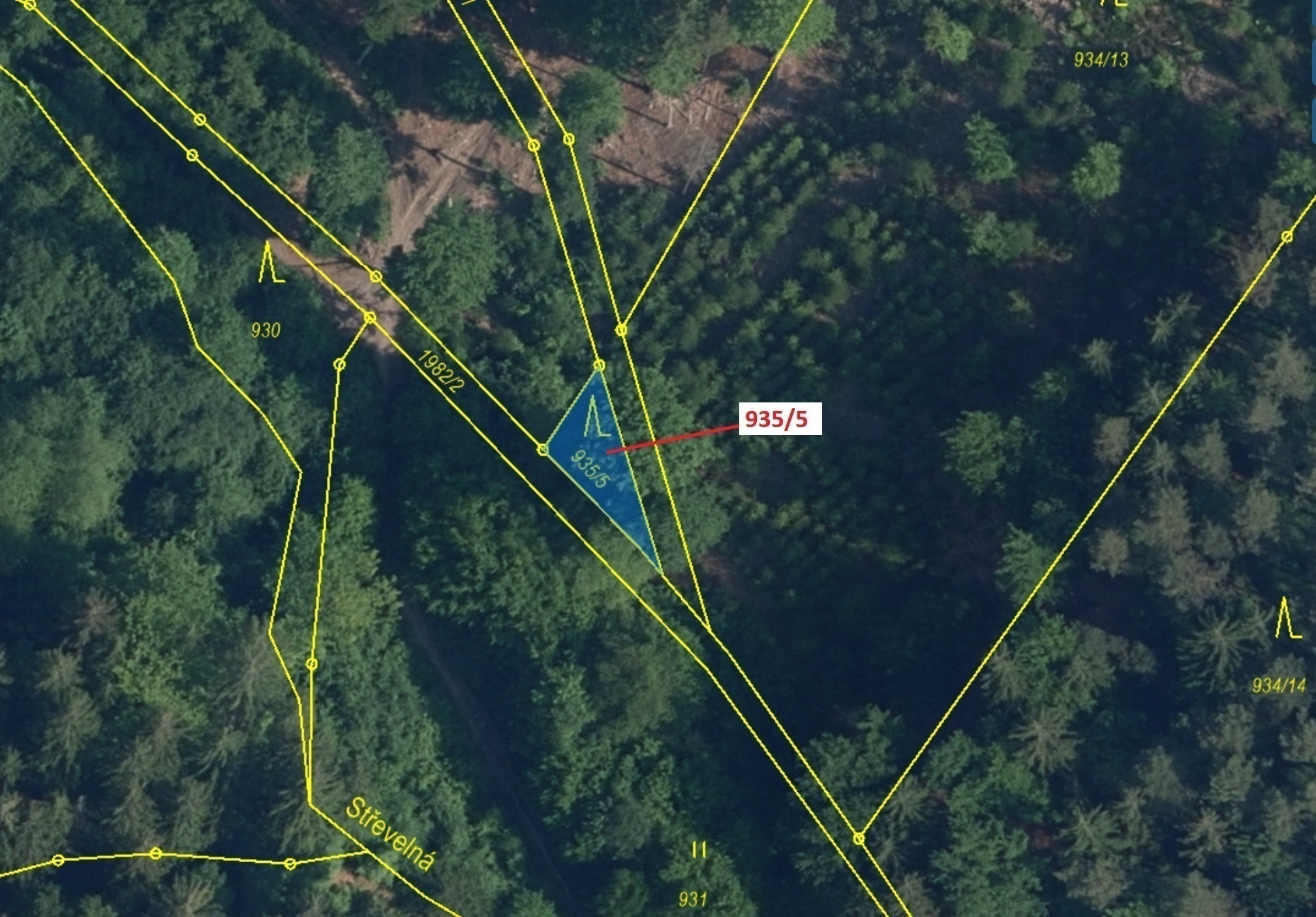 Lesní pozemek o výměře 88 m2, podíl 1/1, katastrální území Jílové u Držkova, obec Jílové u Držkova, 