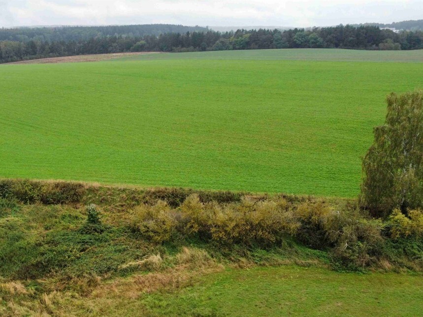 Pozemek o velikosti 12366m2,  Kostelec nad Černými lesy
