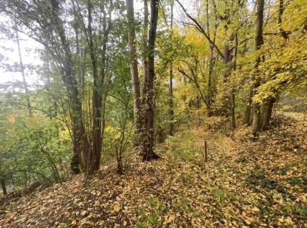 Prodej pozemku, ostatní, 2 639 m²