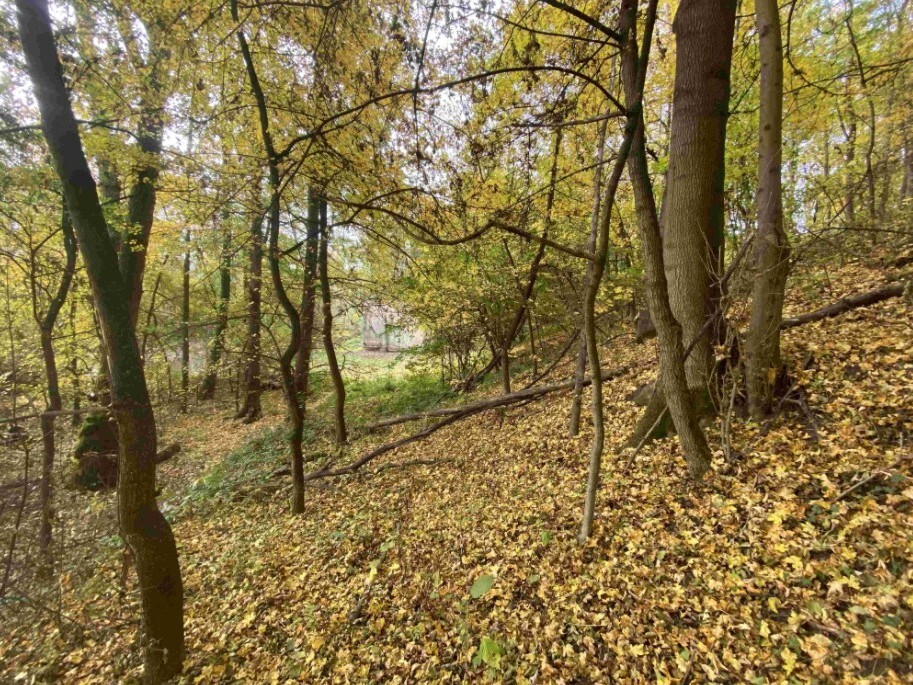 Pozemek o velikosti 2639m2, Svijany