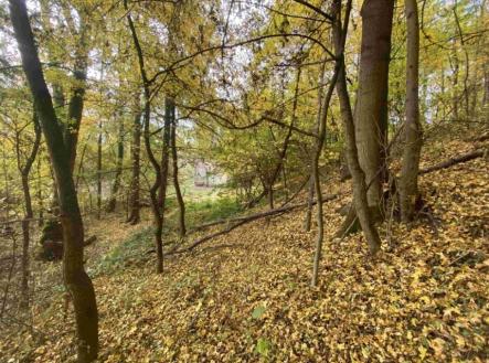 Prodej pozemku, ostatní, 2 639 m²