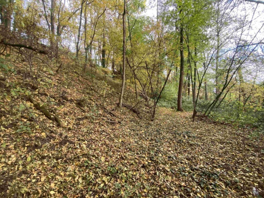 Pozemek o velikosti 2639m2, Svijany