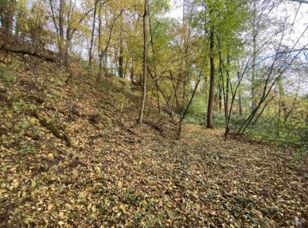 Prodej pozemku, ostatní, 2 639 m²