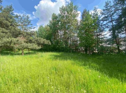 Prodej pozemku, trvalý travní porost, 2 300 m²