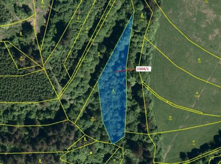 Prodej pozemku, les, 2 626 m²