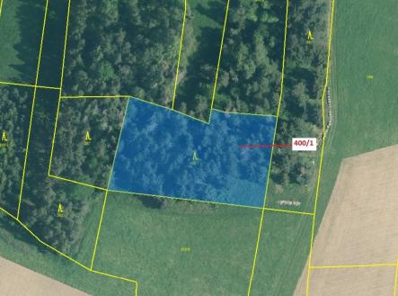 Prodej pozemku, les, 3 965 m²