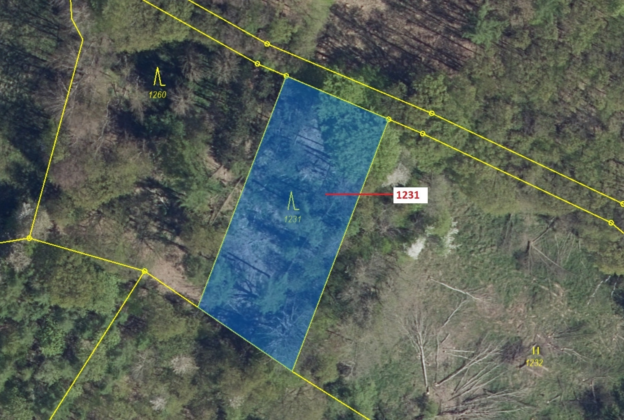 Lesní pozemek o výměře 1462 m2, podíl 1/1, katastrální území Podlešín u Stebna, obec Stebno, obec s 