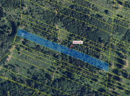 Prodej pozemku, les, 5 079 m²