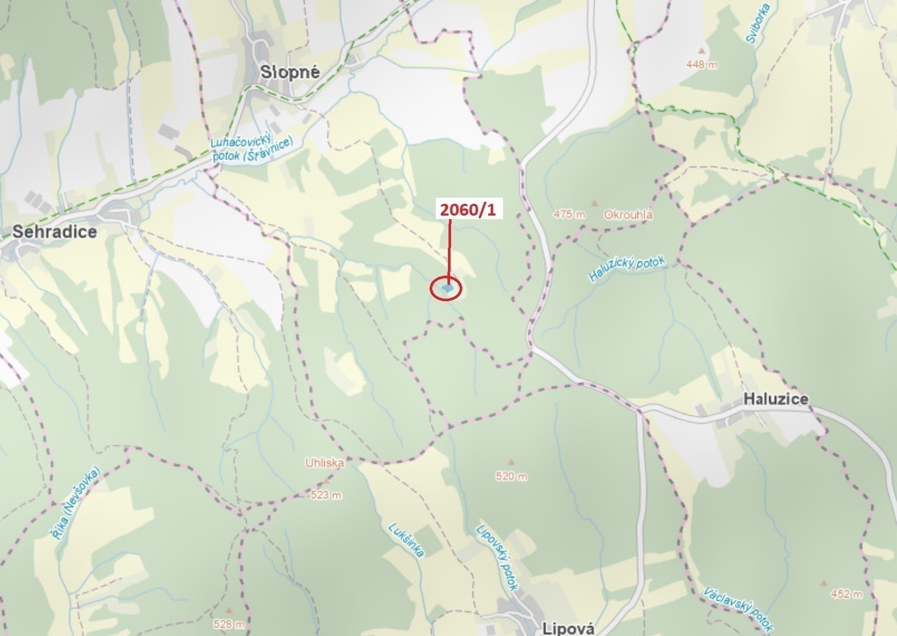 Trvalý travní porost o výměře 2555 m2, podíl 1/1, katastrální území Slopné, obec Slopné, obec s rozš