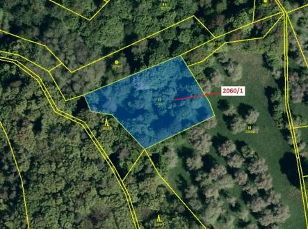 Prodej pozemku, trvalý travní porost, 2 555 m²