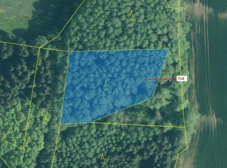 Prodej pozemku, les, 2 850 m²