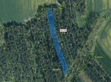 Prodej pozemku, les, 3 368 m²